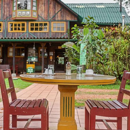 Sachatamia Lodge Mindo Ngoại thất bức ảnh