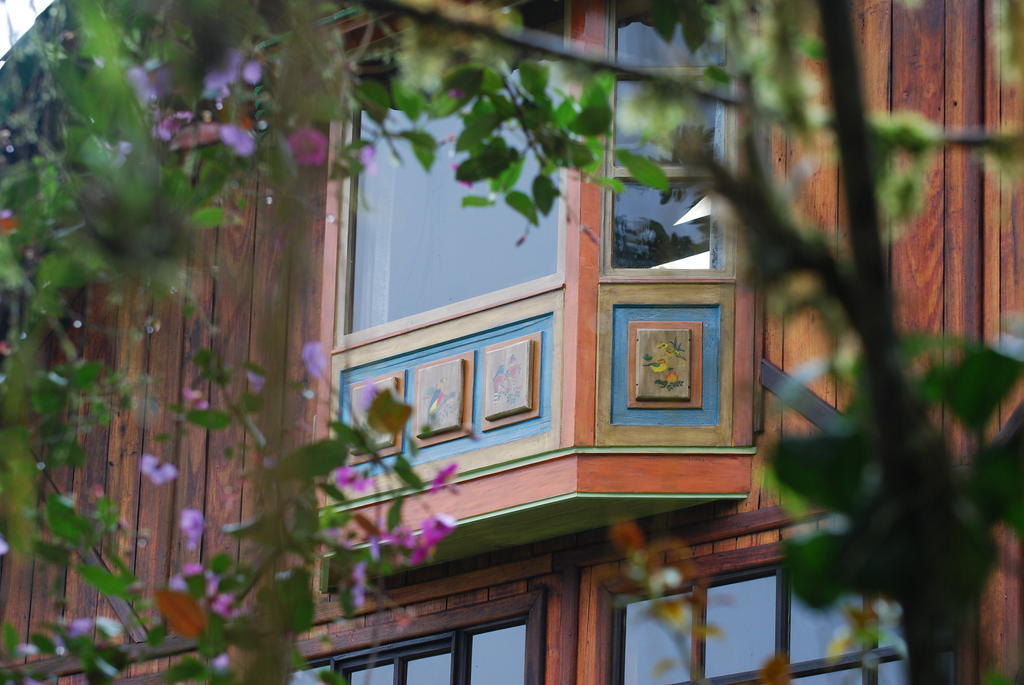 Sachatamia Lodge Mindo Ngoại thất bức ảnh